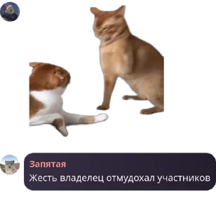 ♈ emoji легенды на месте Telegram sticker 22 of 61