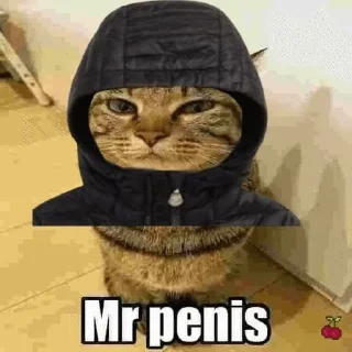 Sticker from mrpenisv2