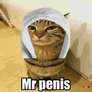 Sticker from mrpenisv2