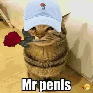 Sticker from mrpenisv2