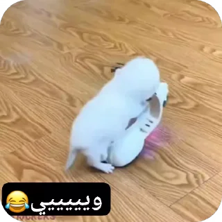 Sticker from سول @sull3Bot @sull3Bot ::