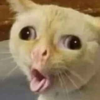 🌟 emoji @sulesunay @AsenaUserBot Paketi 1 Telegram sticker 5 of 98