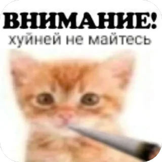 Sticker from Сашвассвяиван