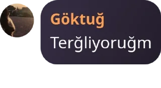 👨‍💻 emoji Hıdırı Bıdırı kızlarr pack by @QuotLyBot Telegram sticker 7 of 120