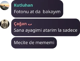 👩‍🌾 emoji Islam'ın Son Kalesi Ateizm 2 pack by @QuotLyBot Telegram sticker 2 of 120