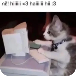 🐱 emoji Schizophrenia DOOEL Telegram sticker 22 of 31