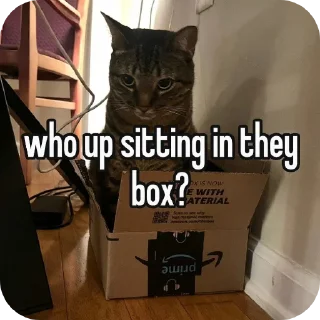 🐱 emoji Schizophrenia DOOEL Telegram sticker 23 of 31