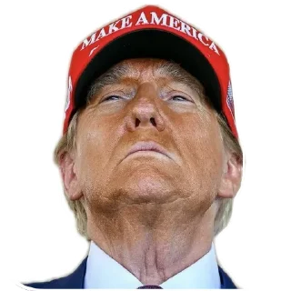 🧔 emoji Donald Telegram sticker 10 of 44