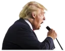🎤 emoji Donald Trump Telegram sticker 21 of 28