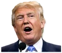 😃 emoji Donald Trump Telegram sticker 15 of 28