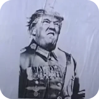 🖼 emoji Donald Telegram sticker 20 of 44