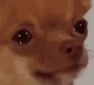 🌟 emoji Doggos Telegram sticker 15 of 33