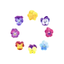 🌺 emoji book will live Telegram sticker 12 of 117