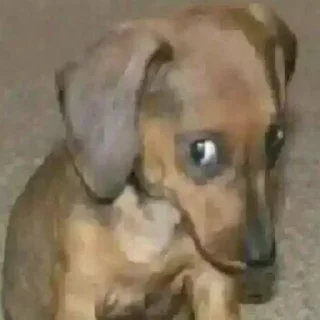 Sticker from r
