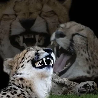 😂 emoji PopurriJazz 3.0 Telegram sticker 4 of 120