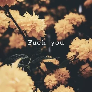 🖕 emoji Shit Telegram sticker 8 of 86
