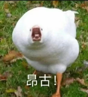 Sticker from 企鵝軍團最強
