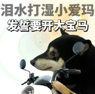 Sticker from 企鵝軍團最強