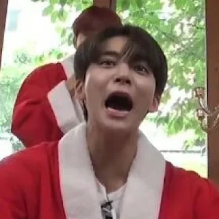 💎 emoji Svt gose memes Telegram sticker 7 of 100