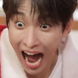 Sticker from Svt gose memes