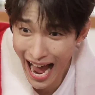Sticker from Svt gose memes