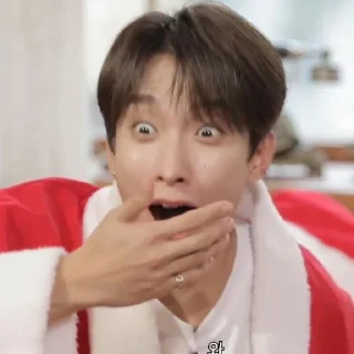 💎 emoji Svt gose memes Telegram sticker 14 of 100