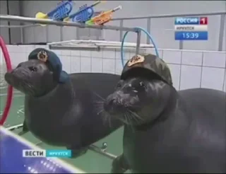 😎 emoji еееееее🔥🔥🔥🔥🔥🔥 ➡️ @Ctikerubot Telegram sticker 12 of 83