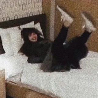 😄 emoji Lisa Telegram sticker 13 of 24