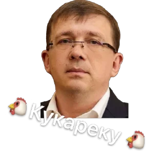🐔 emoji Хуета Telegram sticker 8 of 27