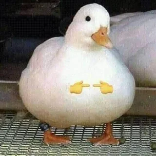 Sticker from 🦢Swanbutgoose🪿