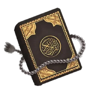 📖 emoji @Quroni_karim_rasmlari @hijab_girl_stickers Telegram sticker 18 of 120