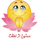 🙏 emoji Smiley Telegram sticker 24 of 120