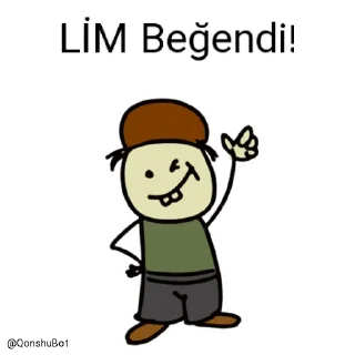 👍 emoji LİM @Qonshubot Telegram sticker 20 of 31