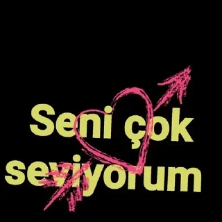❤️ emoji @Tospikcocuk 🌃 @SiriUserBot Paketi 1 Telegram sticker 2 of 48