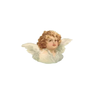 🧚‍♀ emoji @bituclub𓂃 ˖ ་ 𑁍 ࣪🐢🥥 𝟐♡ Telegram sticker 24 of 120