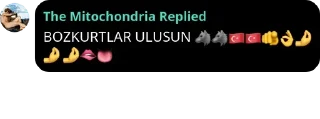 🐺 emoji Marmara Park Özel Güvenlik Bir pack by @QuotLyBot Telegram sticker 1 of 120