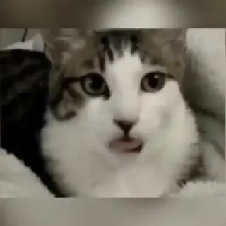 😛 emoji İsmail Telegram sticker 18 of 18