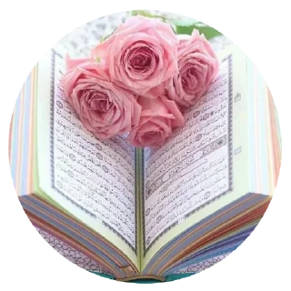 🟢 emoji @Quroni_karim_rasmlari  🟢 Telegram sticker 6 of 87