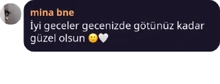 📙 emoji @noldulanyine | 🌃 @SiriOT Paketi | 1 Telegram sticker 15 of 17