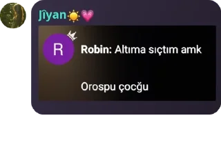 Sticker from Hıdırı Bıdırı kızlarr pack by @QuotLyBot