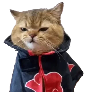 Sticker from Akatsuki