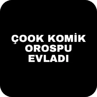 🖼 emoji DOĞRU İNFOLAR Telegram sticker 15 of 64