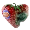 ❤️ emoji my beloved mould Telegram sticker 14 of 18