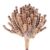 🌷 emoji my beloved mould Telegram sticker 5 of 18