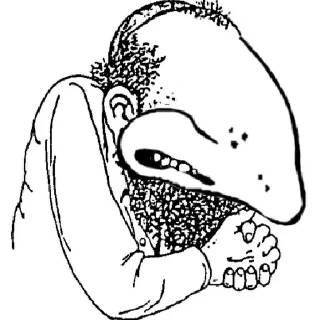 👃 emoji 👑 Il Re Del Sesso Pazzurdo Sgravato 👑 Telegram sticker 17 of 120