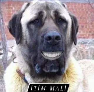 🌟 emoji Çıkartma paketi 😅 pack by @QuotLyBot Telegram sticker 3 of 22