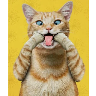 🤪 emoji by: @hijab_girl_stickers #cats Telegram sticker 13 of 25