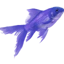 🐠 emoji book will live Telegram sticker 18 of 117