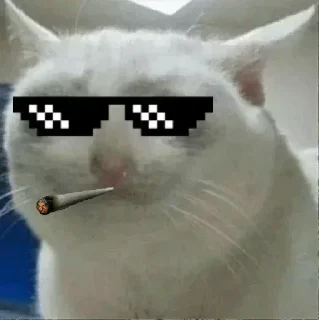 😎 emoji @emektar_reis | 🌃 @EpicUserBot Paketi | 1 Telegram sticker 15 of 120