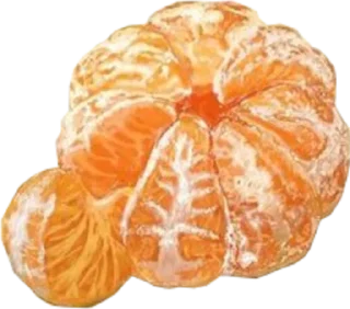 🍊 emoji Foodie @MyselfMeandIo Telegram sticker 24 of 40